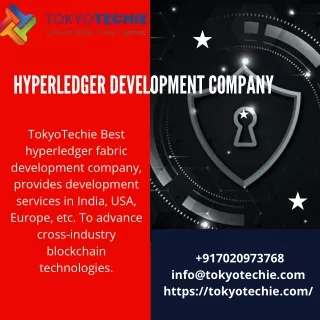 Hyperledger Development company