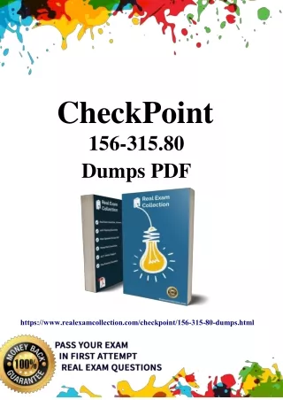 checkpoint 156 315 80