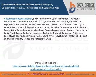 underwater robotics market report analysis