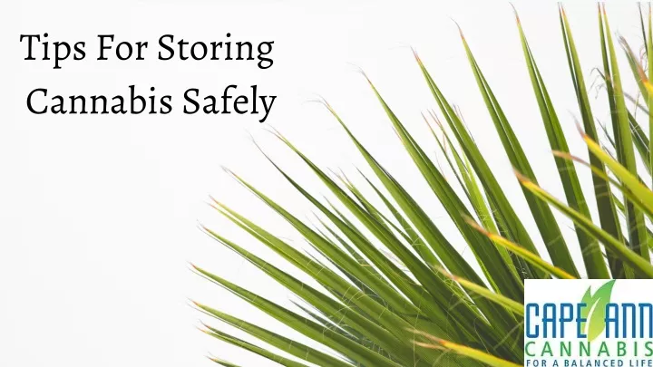 tips for storing cannabis safely