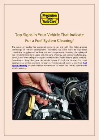 Fuel System Cleaning Services in Washington