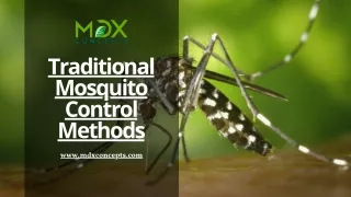 Traditional Mosquito Control Methods