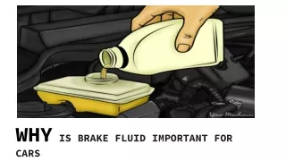 Why Is Brake Fluid Important For Cars ?