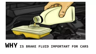 why is brake fluid important for cars