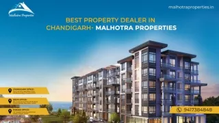 MALHOTRA PROP PPT (1)