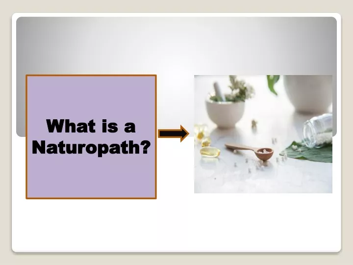 what is a what is a n naturopath aturopath