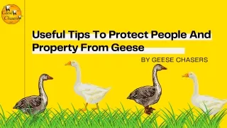 useful tips to protect people and property from
