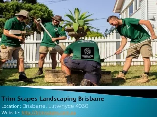 Best Landscaping Services Brisbane
