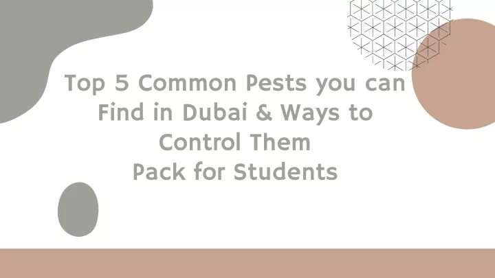 top 5 common pests you can find in dubai ways to control them pack for students