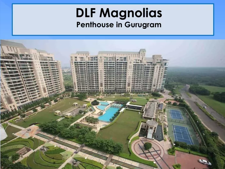 dlf magnolias penthouse in gurugram