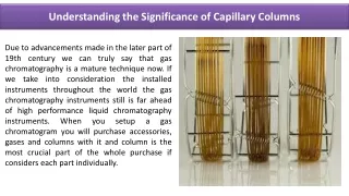 understanding the significance of capillary