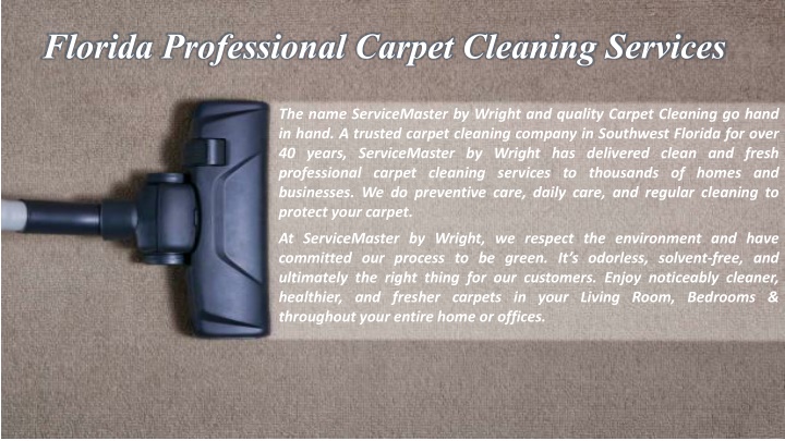 florida professional carpet cleaning services