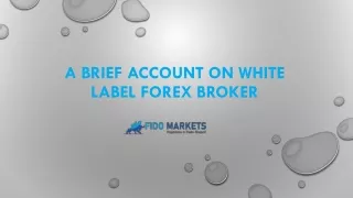 A Brief account on White Label Forex Broker