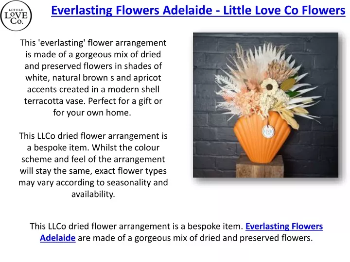 everlasting flowers adelaide little love