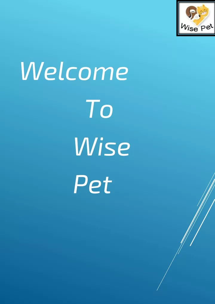 welcome to wise pet