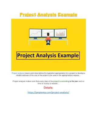 Project Analysis Example
