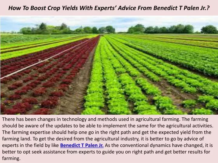 how to boost crop yields with experts advice from benedict t palen jr