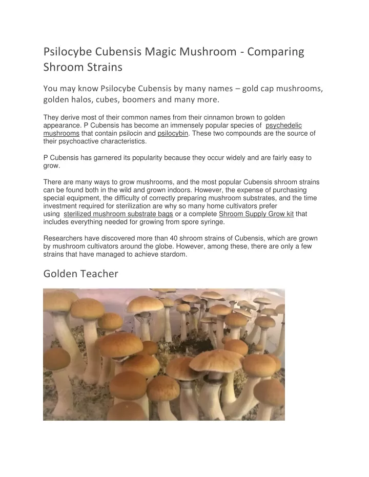 psilocybe cubensis magic mushroom comparing