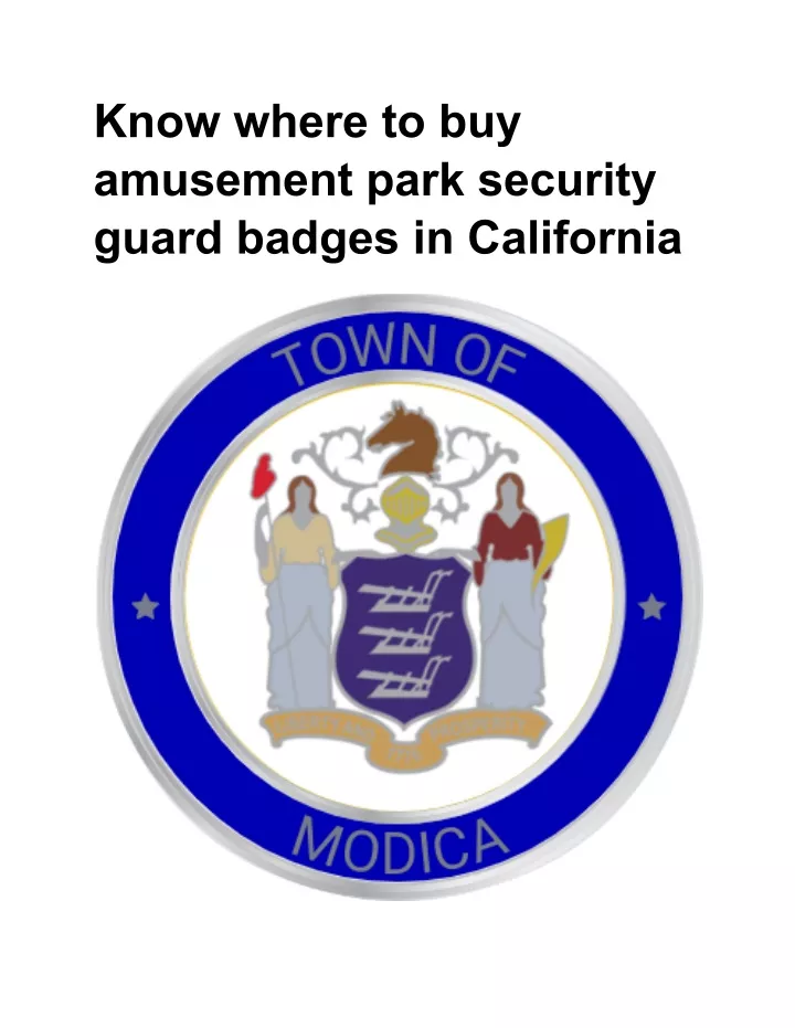 know where to buy amusement park security guard