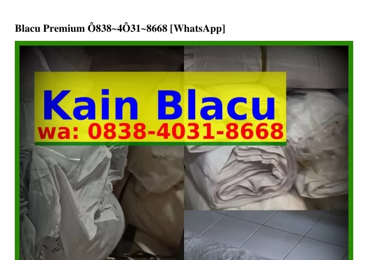 blacu premium 838 4 31 8668 whatsapp