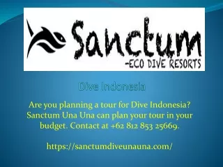Dive in Indonesia