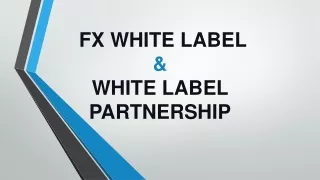 FX White Label & White Label Partnership