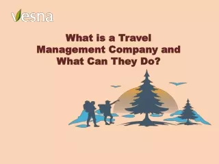 What is a Travel Management Company and What Can They Do
