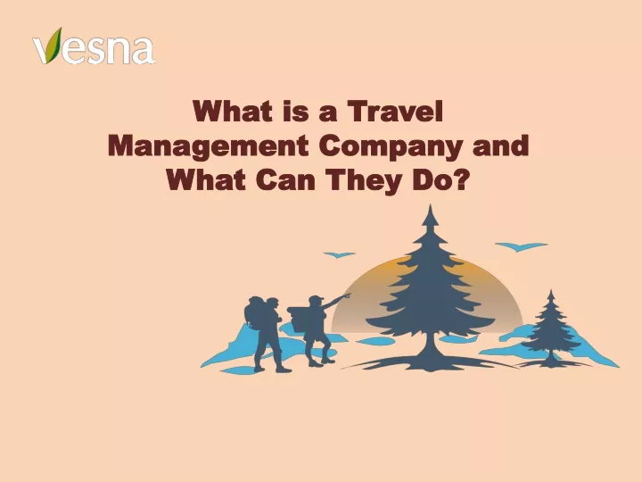 what is a travel management company and what