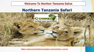 Northern Tanzania Safari