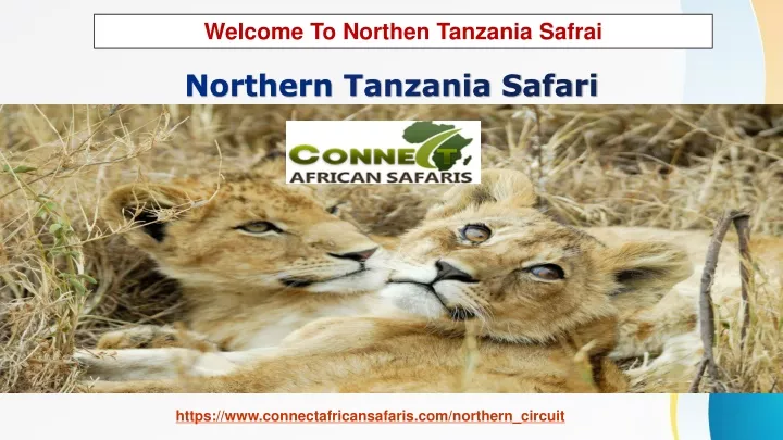 welcome to northen tanzania safrai