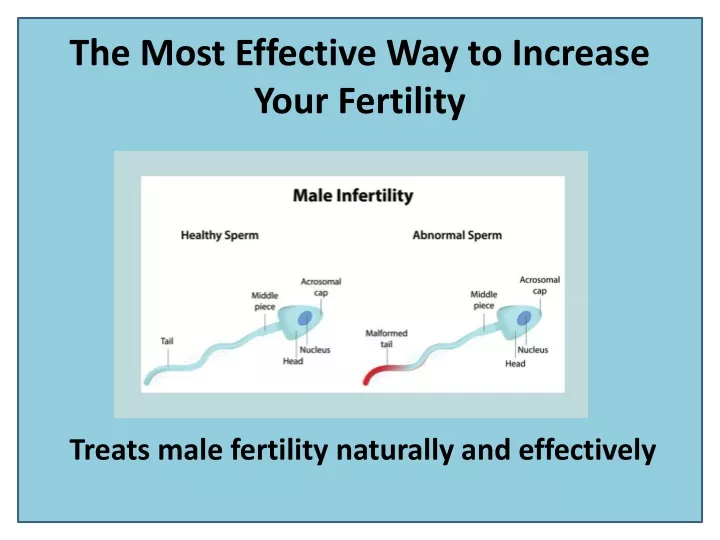 the most effective way to increase your fertility
