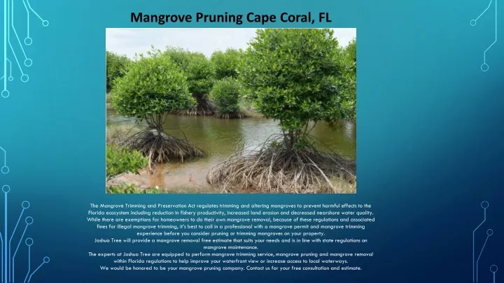 mangrove pruning cape coral fl