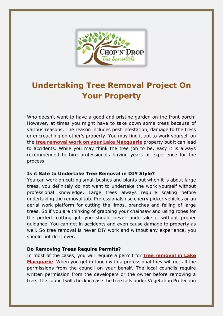 undertaking tree removal project on your property