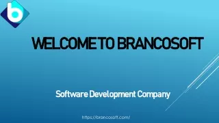 Consult Best Software Development Companies in Noida