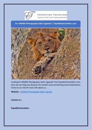 For Wildlife Photography Safari Uganda? | Expeditiontravellers.com