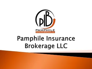pamphile insurance brokerage llc