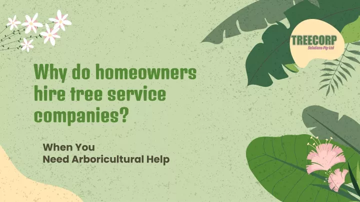 why do homeowners hire tree service companies