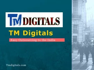 SEO & Digital Marketing Outsourcing Company TM Digitals