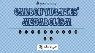 CARBOHYDRATES’ METABOLISM