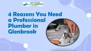 4 Reasons You Need a Professional Plumber in Glenbrook