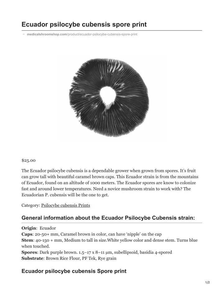 ecuador psilocybe cubensis spore print