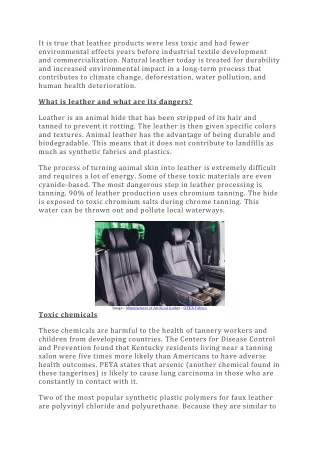 Debunking the Vegan Leather Myth