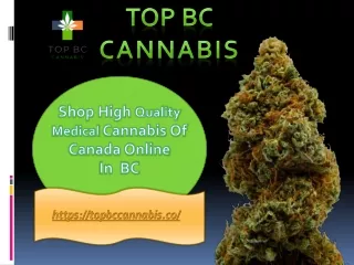 High Quality Medical Cannabis Of Canada