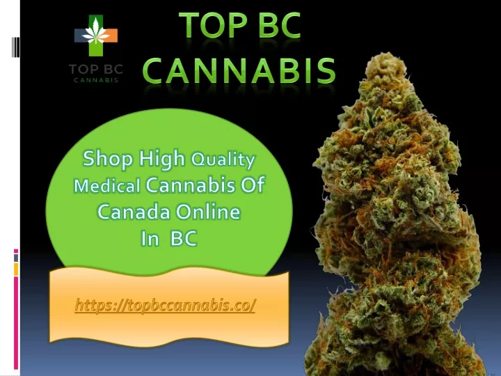 shop high quality medical cannabis online in canada