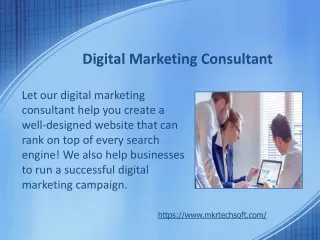 digital marketing consultant