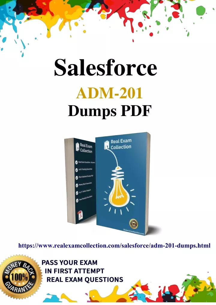 salesforce adm 201 dumps pdf