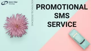 PROMOTIONAL SMS SERVICE