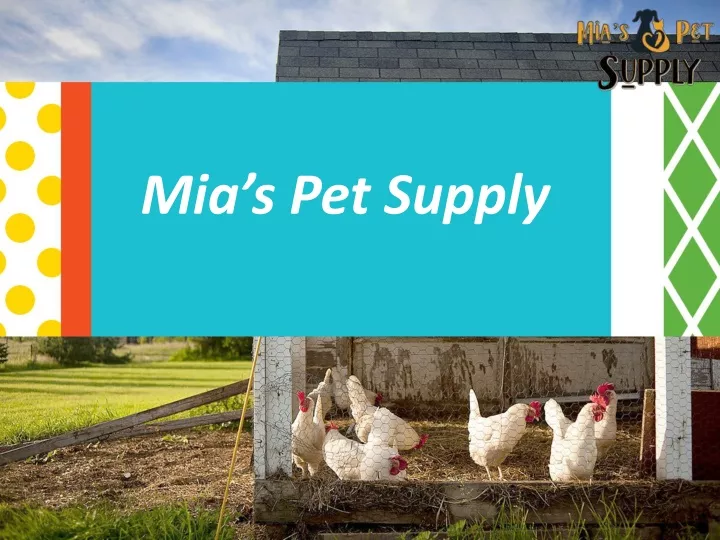 mia s pet supply