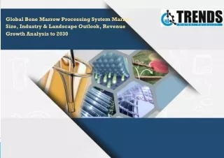 global bone marrow processing system market size