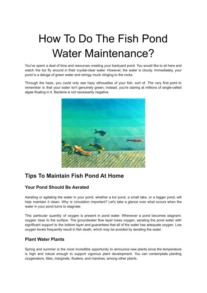 how to do the fish pond water maintenance